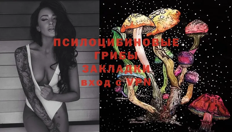 Псилоцибиновые грибы Psilocybe  Верхний Уфалей 